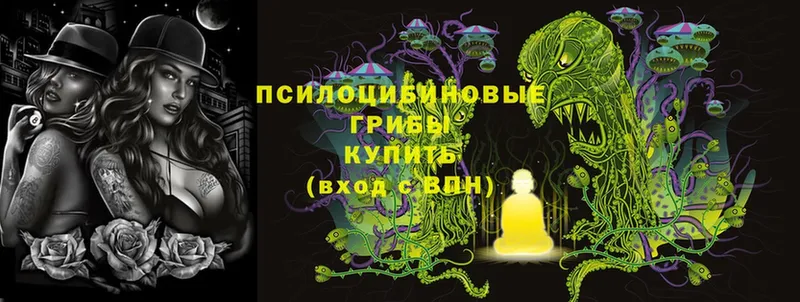 Галлюциногенные грибы Cubensis  Кондрово 